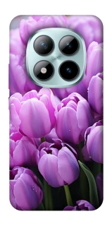 Чехол на Xiaomi Redmi Note 15 Pro+ 5G Фиолетовые тюльпаны фото 1 из 1