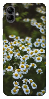 Чехол на Samsung Galaxy A04 Ромашки v13 фото 1 из 1