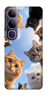 Чехол на Vivo Y300 Cats фото 1 из 1