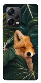 Чехол на Xiaomi Redmi Note 12 Pro 5G Fox фото 1 из 1
