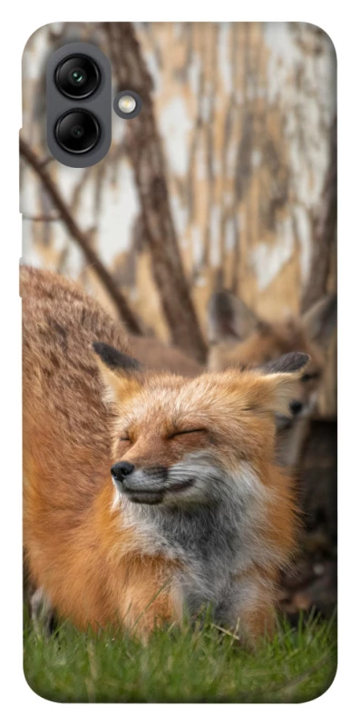 Чехол на Samsung Galaxy A04 Лиса фото 1 из 1