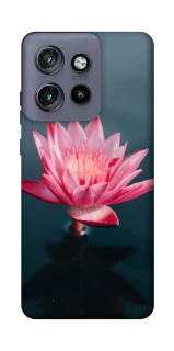 Чохол на Motorola Edge 50 Neo Лотос фото 1 з 1