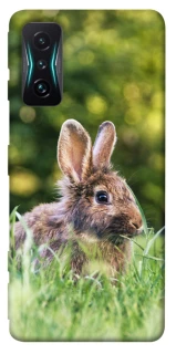 Чохол на Xiaomi Redmi K50 Gaming Кролики фото 1 з 1