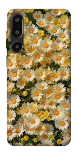 Чохол на Samsung Galaxy F16 Camomile фото 1 з 1