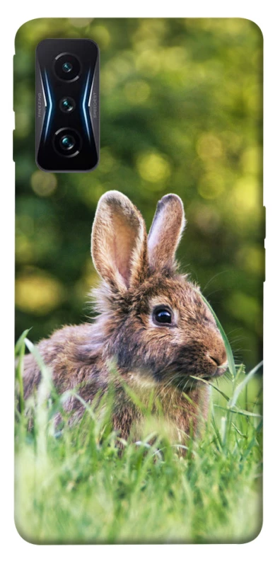 Чехол на Xiaomi Poco F4 GT Кролики фото 1 из 1