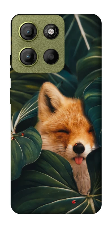 Чохол на Motorola Moto G15 4G Fox фото 1 з 1