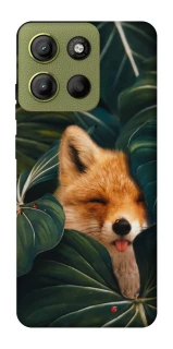 Чехол на Motorola Moto G15 4G Fox фото 1 из 1