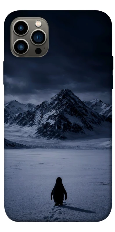 Чехол на Apple iPhone 12 Pro (6.1") But why? фото 1 из 1