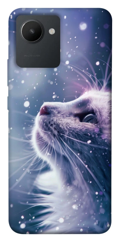 Чехол на Realme C30s Snow cat фото 1 из 1