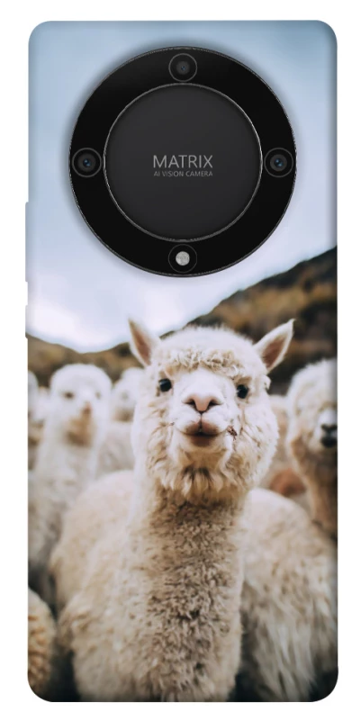 Чохол на Huawei Magic5 Lite Лама фото 1 з 1
