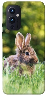 Чехол на OnePlus 9 Кролики фото 1 из 1