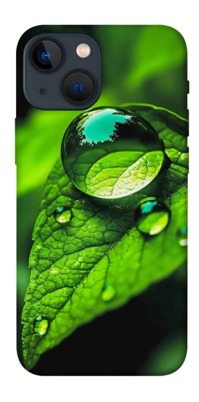 Чохол на Apple iPhone 13 mini (5.4") Flowers v16 фото 1 з 1