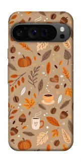 Чехол на Google Pixel 9 Pro Autumn vibes ver.6 фото 1 Чехол на Google Pixel 9 Pro Autumn vibes ver.6 фото 1 из 1