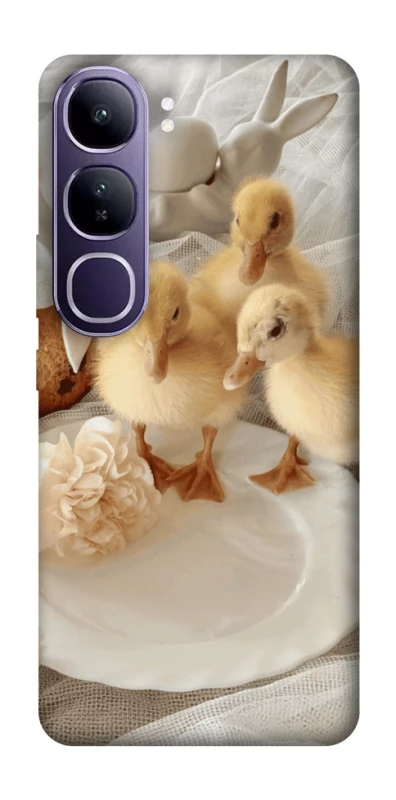 Чохол на Vivo Y300 Easter Vibes фото 1 з 1