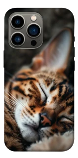 Чехол на Apple iPhone 13 Pro (6.1") Cat paws фото 1 из 1