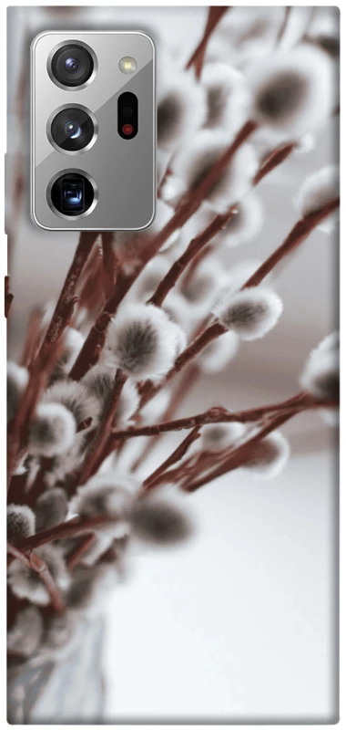 Чохол на Samsung Galaxy Note 20 Ultra Magic фото 1 з 1