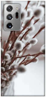 Чехол на Samsung Galaxy Note 20 Ultra Magic фото 1 из 1