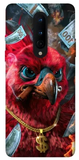 Чохол на OnePlus 8 Папуга фото 1 з 1