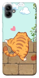 Чохол на Samsung Galaxy A04 Cat the meow фото 1 з 1