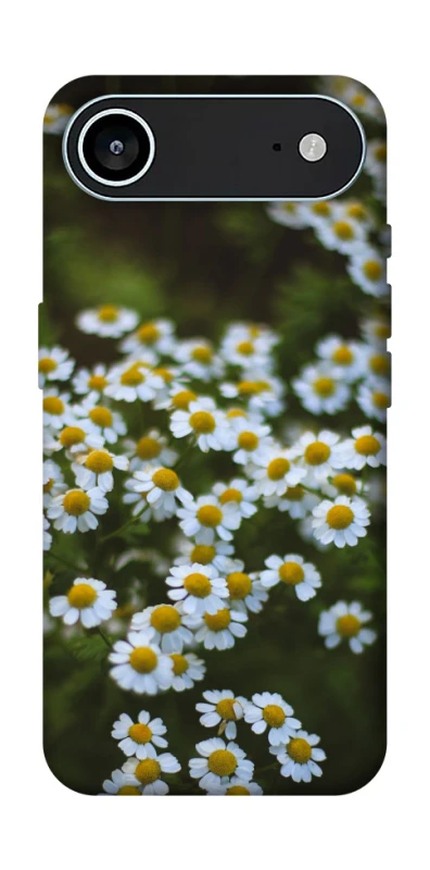 Чехол на Apple iPhone 17 Air (6.5") Ромашки v13 фото 1 из 1