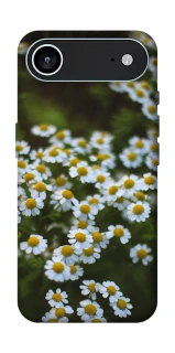 Чехол на Apple iPhone 17 Air (6.5") Ромашки v13 фото 1 из 1