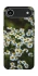 Чехол на Apple iPhone 17 Air (6.5") Ромашки v13 фото 1 из 1