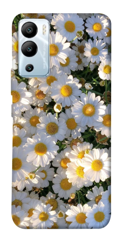 Чехол на Infinix Hot 12i Поле ромашек фото 1 из 1