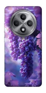 Чехол на Oppo Reno 12 F 4G Bunch of grapes фото 1 из 1