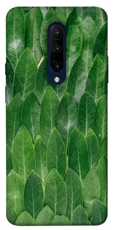 Чохол на OnePlus 7 Pro Листя фото 1 з 1
