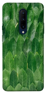 Чохол на OnePlus 7 Pro Листя фото 1 з 1