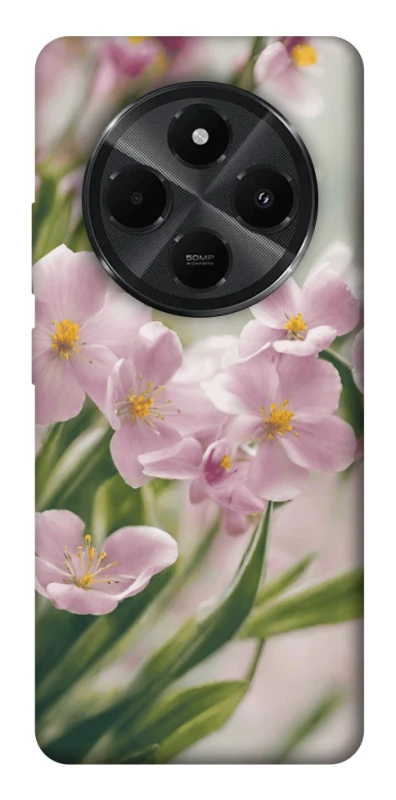 Чехол на Xiaomi Redmi A3 Pro Spring фото 1 из 1