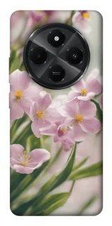 Чехол на Xiaomi Redmi A3 Pro Spring фото 1 из 1