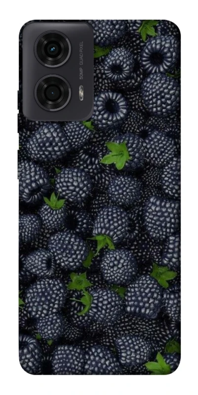 Чохол на Motorola Moto G24 Fresh фото 1 з 1