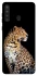 Чехол на Samsung Galaxy A21 Leopard v2 фото 1 из 1