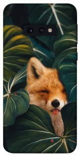 Чехол на Samsung Galaxy S10e Fox фото 1 из 1