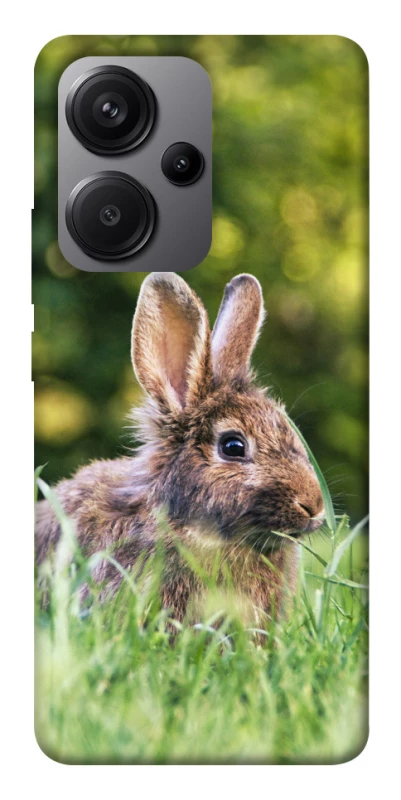 Чехол на Xiaomi Redmi Note 13 Pro+ Кролики фото 1 из 1