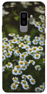 Чехол на Samsung Galaxy S9+ Ромашки v13 фото 1 из 1