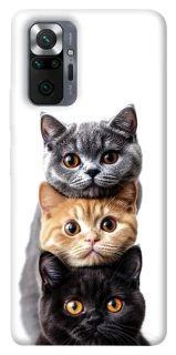 Чохол на Xiaomi Redmi Note 10 Pro Гарні котики фото 1 з 1