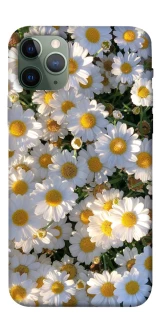 Чохол на Apple iPhone 11 Pro (5.8") Поле ромашок фото 1 з 1