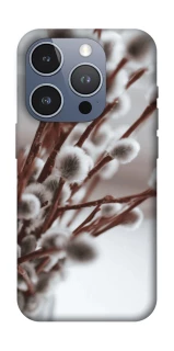 Чехол на Apple iPhone 16 Pro Magic фото 1 из 1