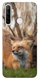 Чохол на Realme 6i Лисиця фото 1 з 1