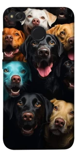 Чехол на Xiaomi Redmi 4X Собаки фото 1 из 1
