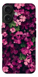 Чохол на Apple iPhone 17 (6.3") Flowers v7 фото 1 з 1