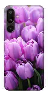 Чехол на Samsung Galaxy M16 5G Фиолетовые тюльпаны фото 1 из 1