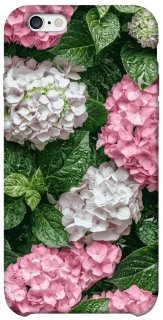 Чохол на Apple iPhone 6/6s (4.7") Secret Garden фото 1 з 1