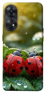 Чохол на Oppo Reno 8T 4G Flowers v23 фото 1 з 1