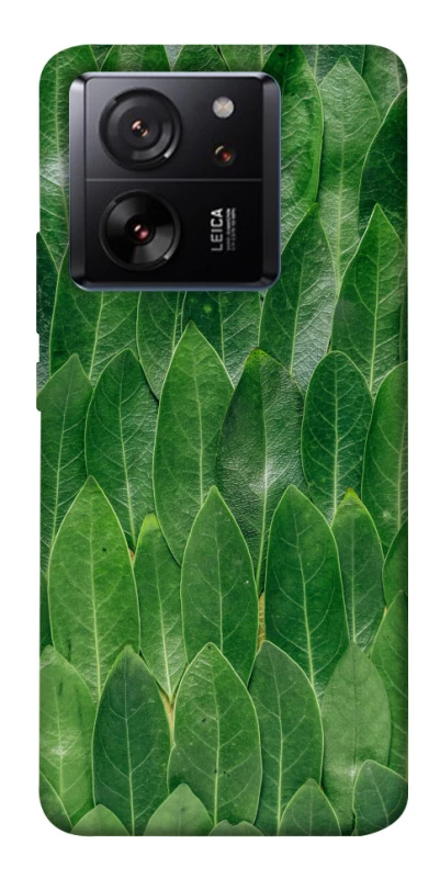Чехол на Xiaomi 13T Листья фото 1 из 1