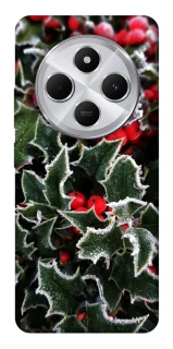 Чехол на Xiaomi Redmi 14C / Poco C75 Новогодний v32 фото 1 из 1