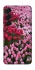 Чехол на Samsung Galaxy S26+ Flowers v9 фото 1 из 1
