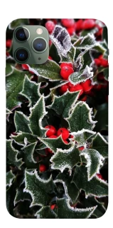 Чохол на Apple iPhone 11 Pro (5.8") Новорічний v32 фото 1 з 1